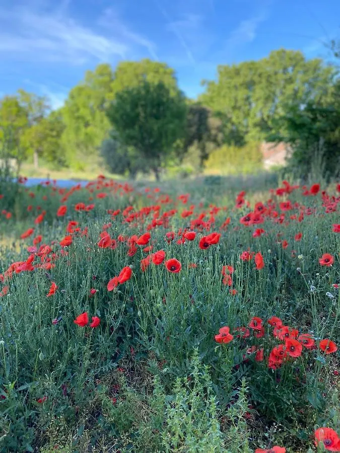 dépendance de bastide climatisée dans parc exceptionnel, au calme Marseille 0*,